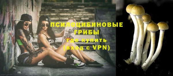 ГАЛЛЮЦИНОГЕННЫЕ ГРИБЫ Абдулино
